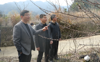 兵团科技 兵团512名科技特派员扎根基层显身手