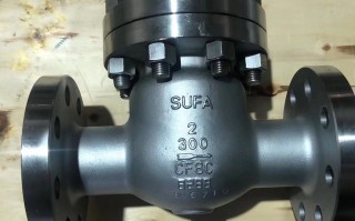 中核苏阀科技有限公司 中核苏阀申请阀门柔性石墨填料密封逐圈压紧装置专利，逐圈压紧，受力均匀