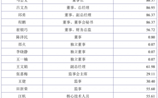 橙金科技有限公司 IPO雷达  独董年薪才700元，高管薪酬异常波动，金橙子冲科创板靠谱吗？