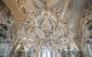 瘟疫与科技 世界大瘟疫启示录丨黑死病：欧洲人的铭心之痛