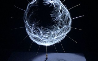 淘宝蒲公英科技 蒲公英，玉米须也能卖？人大代表梁倩娟：有淘宝电商，一切皆可盘