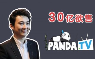 熊猫电脑直播软件下载 王思聪这下“玩大了”！巨亏20亿，母亲帮还债！网友：投资不当能败家