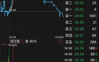 传艺科技 预测 传艺科技收盘下跌229%，最新市净率247，总市值5064亿元
